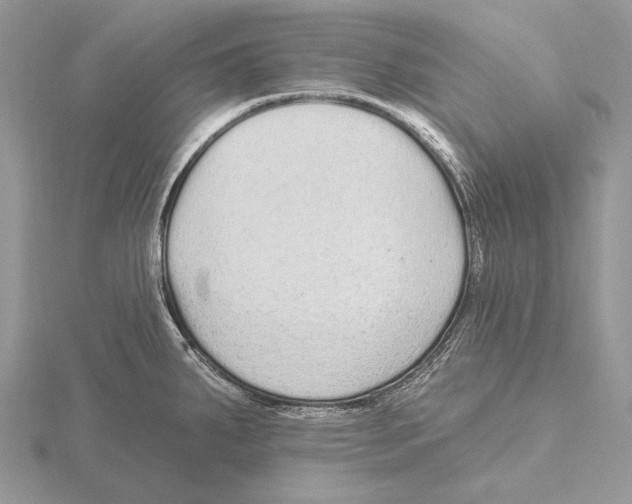 X0000115631287200912081036