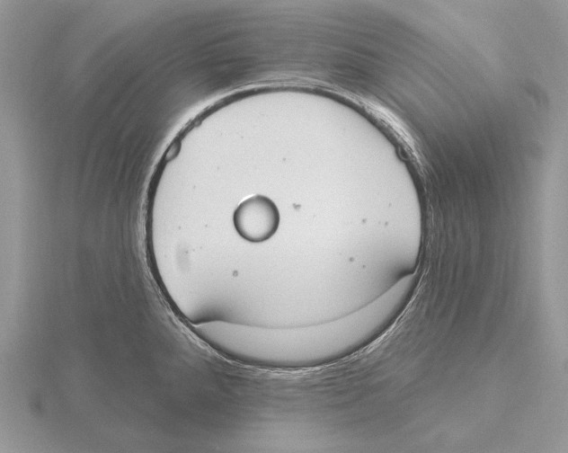 X0000115631288200912081036