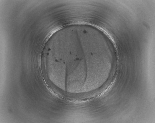 X0000115631289200912081036