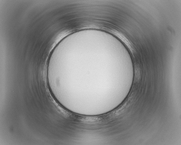 X0000115631290200912081036