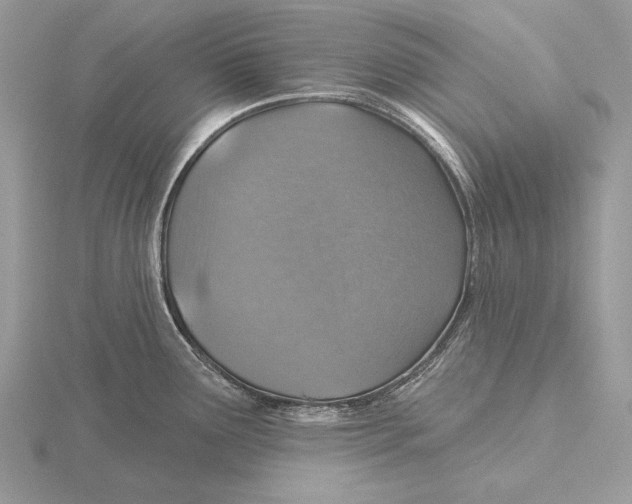 X0000115631291200912081036