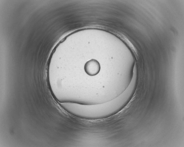 X0000115631292200912081036