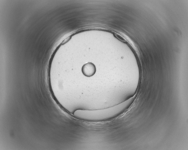 X0000115631293200912081036