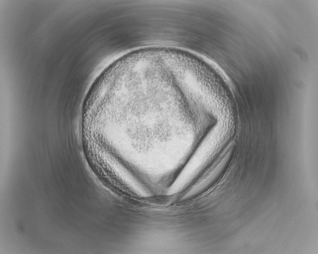 X0000115631295200912081036