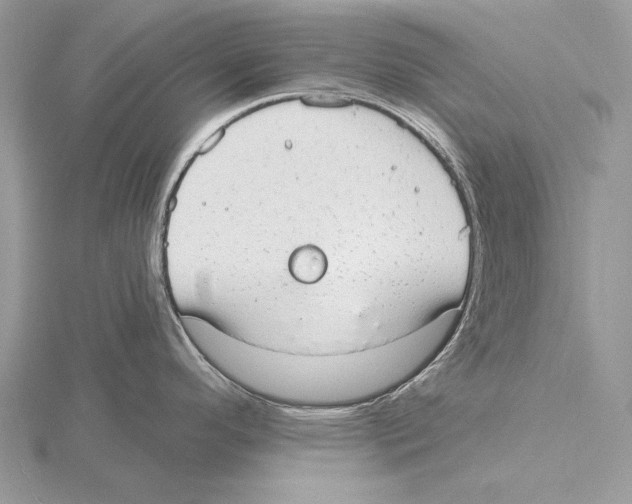 X0000115631296200912081036