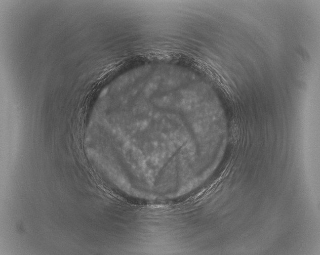 X0000115631297200912081035