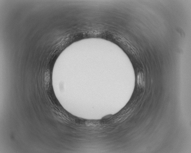 X0000115631299200912081035