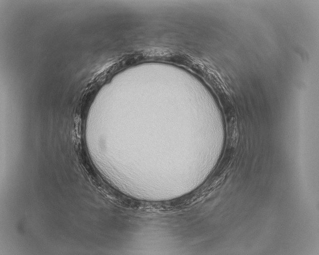 X0000115631301200912081035