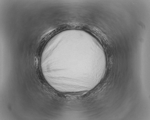 X0000115631302200912081035