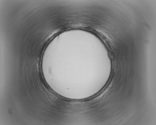 X0000115631305200912081035