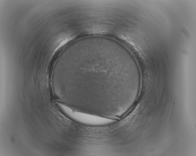 X0000115631306200912081035