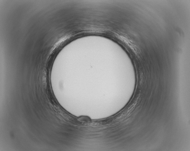 X0000115631307200912081035