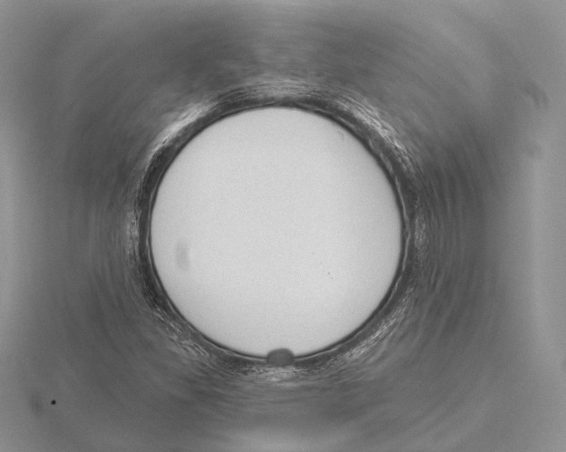 X0000115631309200912081035