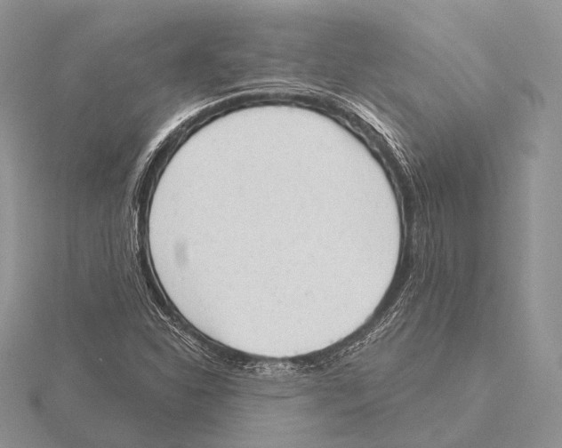 X0000115631310200912081035