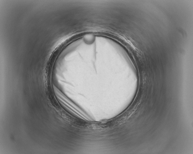 X0000115631311200912081035