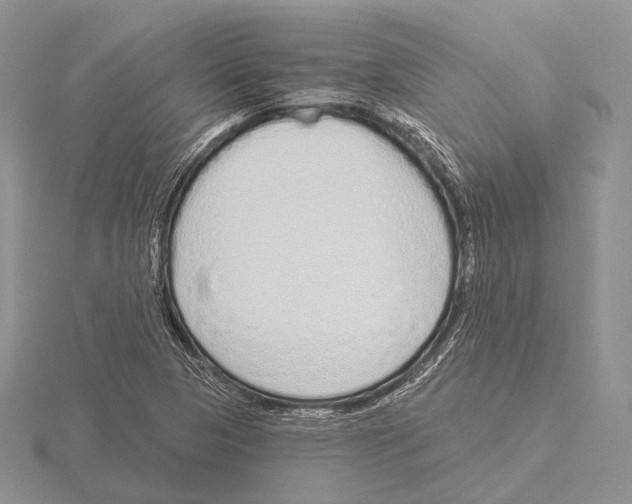 X0000115631313200912081035