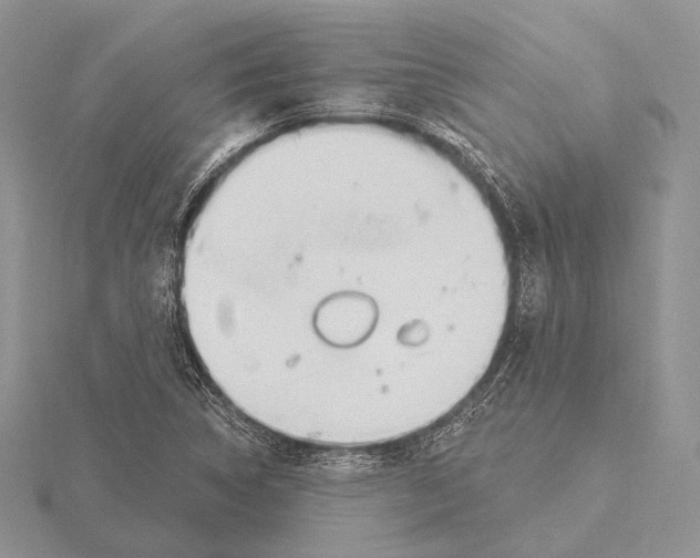 X0000115631314200912081035