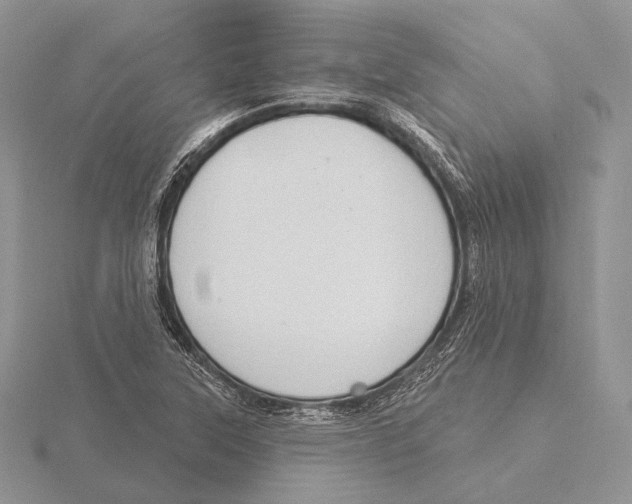 X0000115631315200912081035