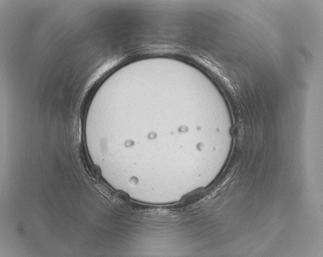 X0000115631317200912081035