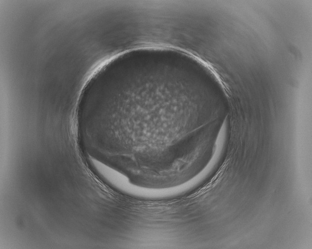 X0000115631319200912081035