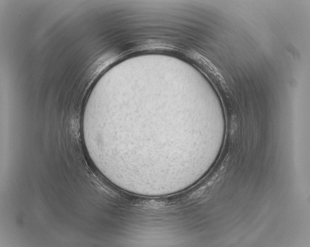 X0000115631321200912081035