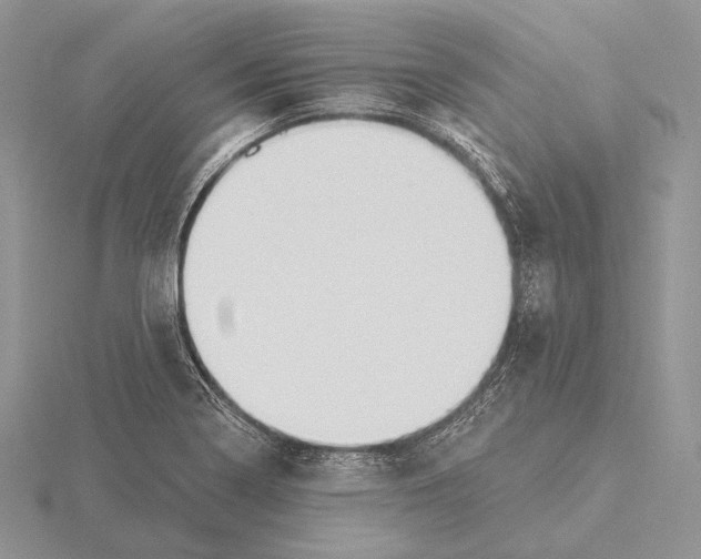 X0000115631322200912081035