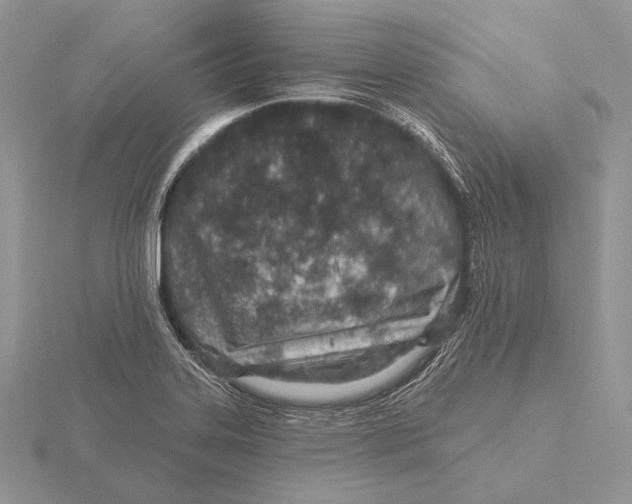 X0000115631323200912081035