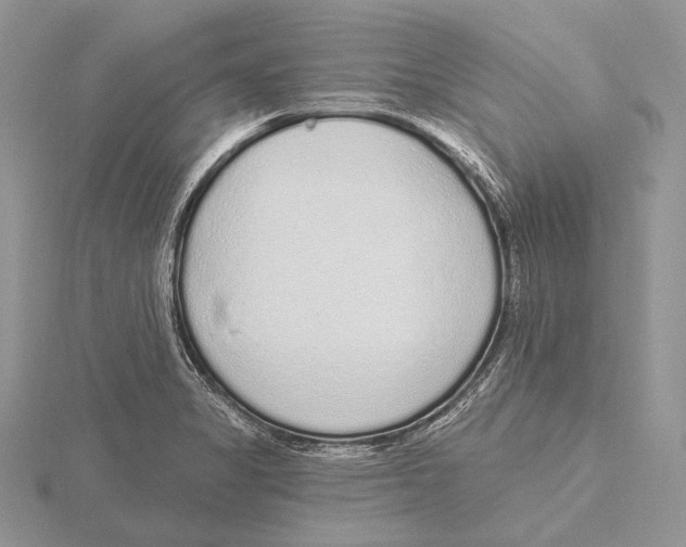 X0000115631325200912081035