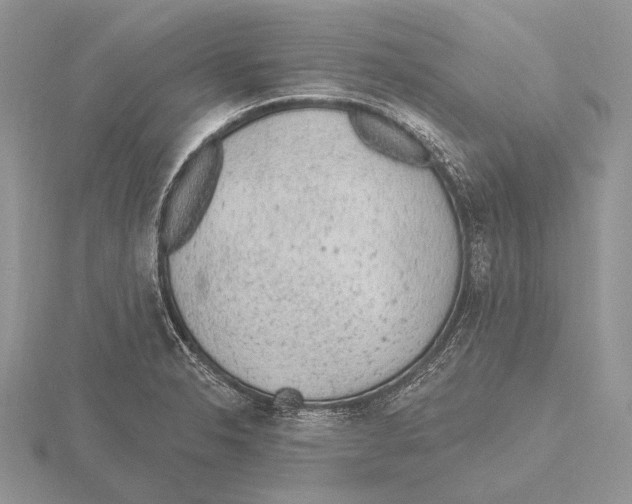 X0000115631326200912081035