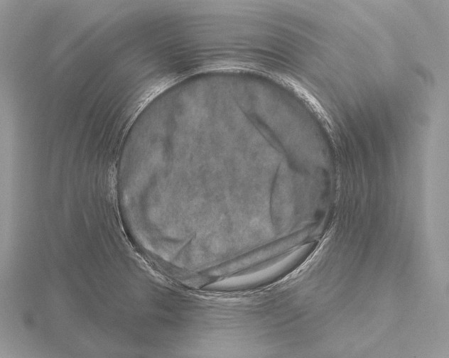 X0000115631329200912081035