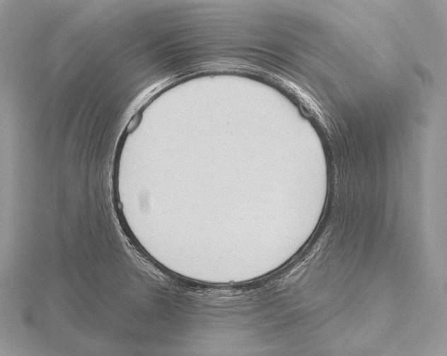 X0000115631330200912081035