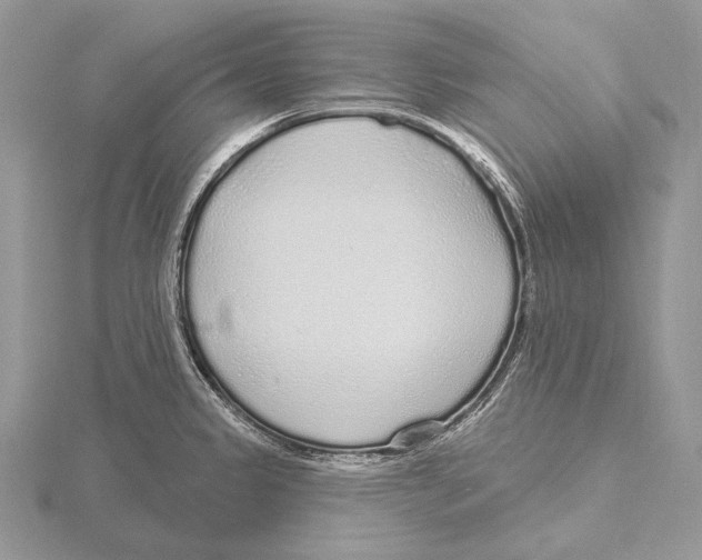 X0000115631333200912081035