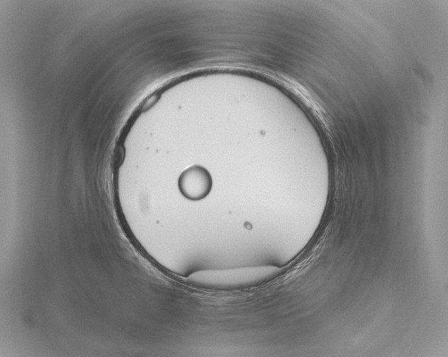 X0000115631334200912081035