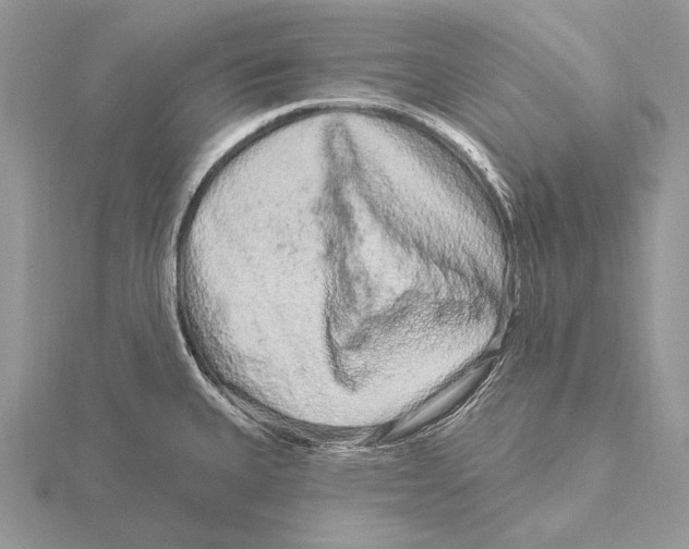 X0000115631335200912081036