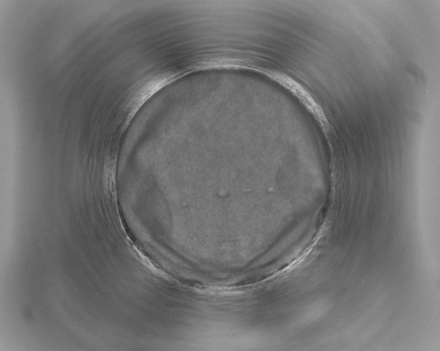 X0000115631337200912081036