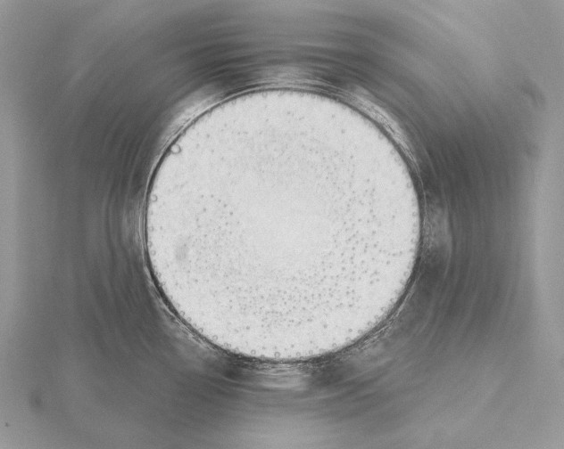 X0000115631338200912081036