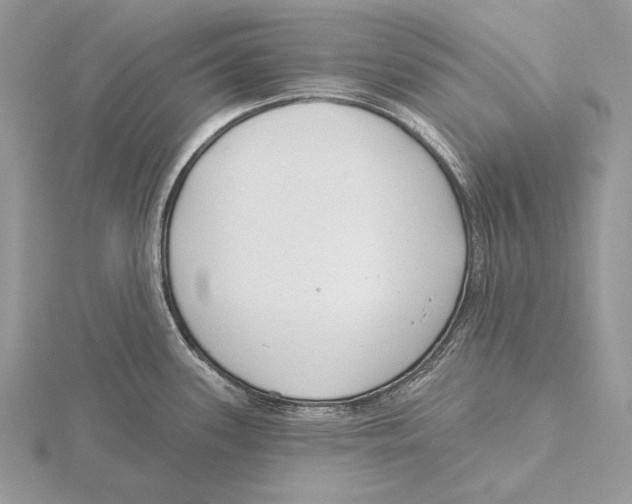 X0000115631339200912081036