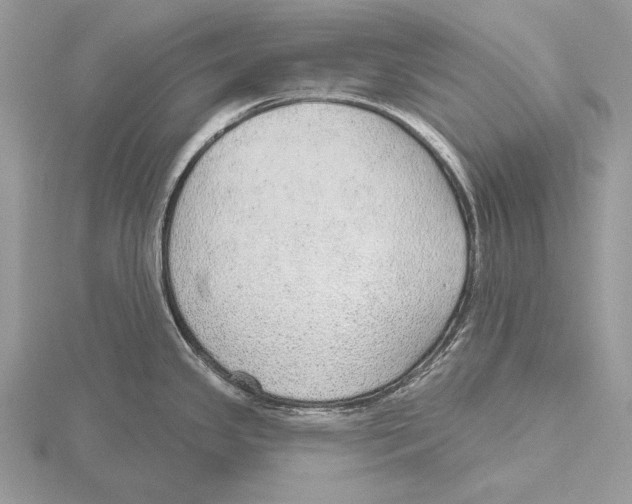 X0000115631341200912081036