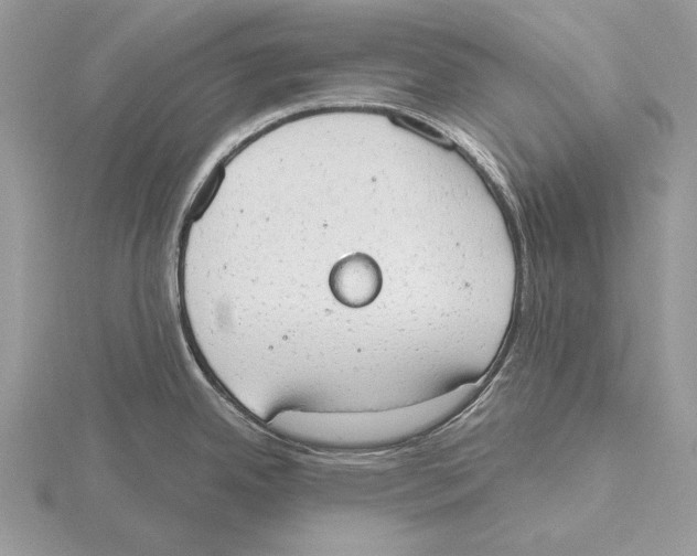 X0000115631342200912081036