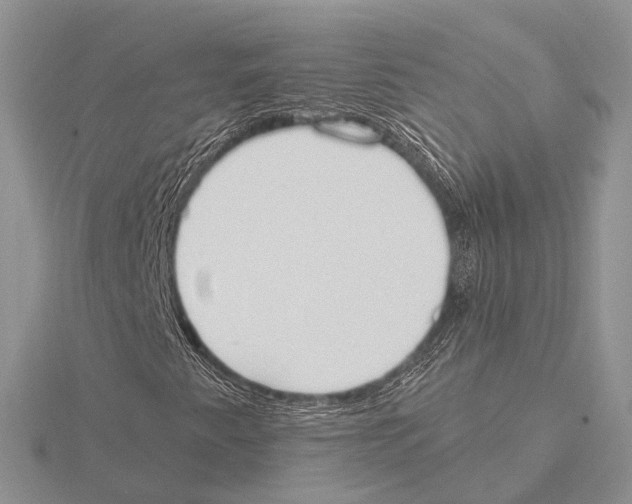 X0000115631345200912081035