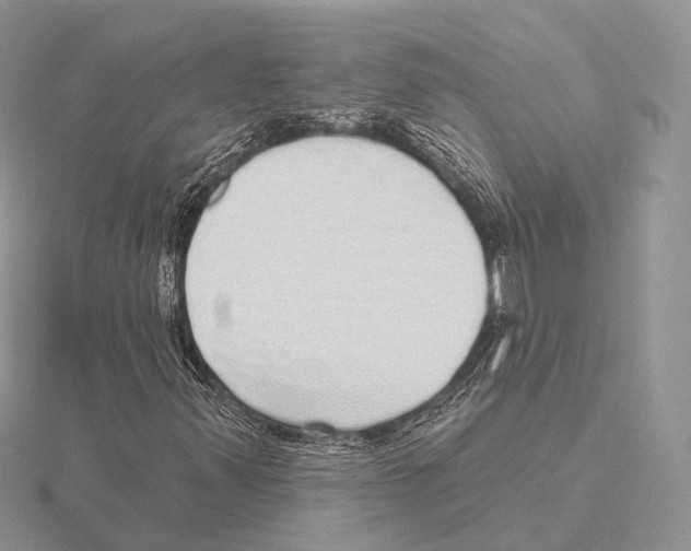 X0000115631347200912081035