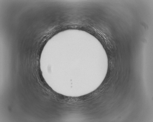 X0000115631349200912081035