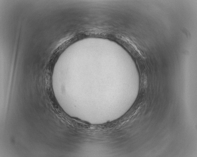 X0000115631350200912081035