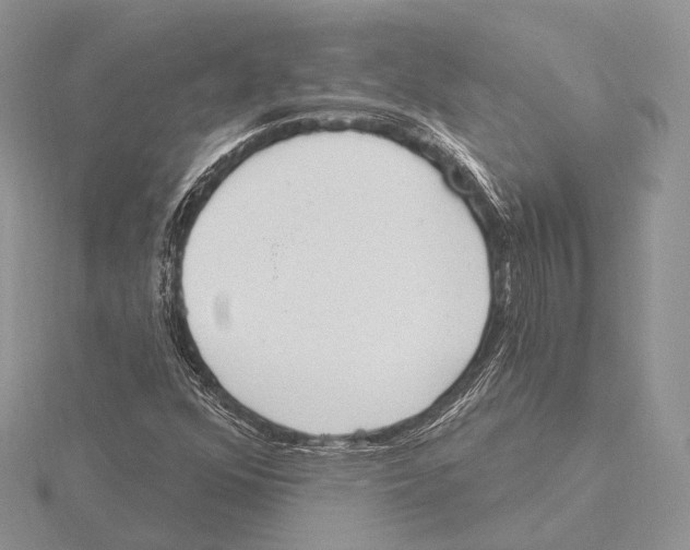 X0000115631352200912081035