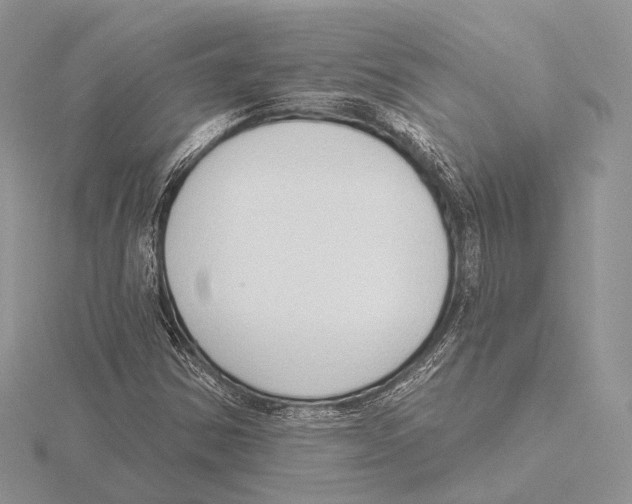 X0000115631354200912081035