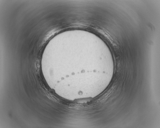 X0000115631355200912081035