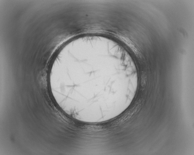 X0000115631356200912081035