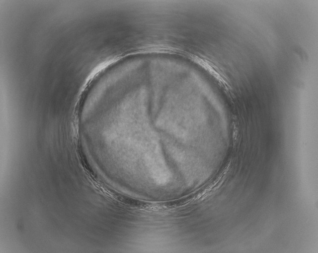 X0000115631358200912081035