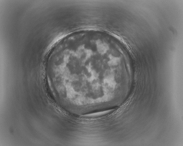 X0000115631359200912081035