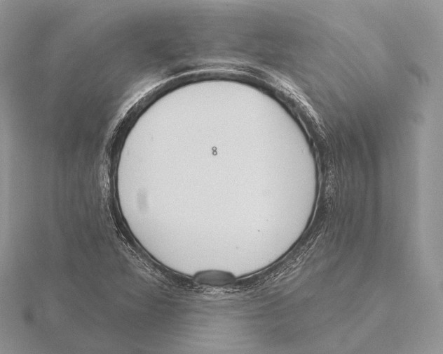 X0000115631360200912081035